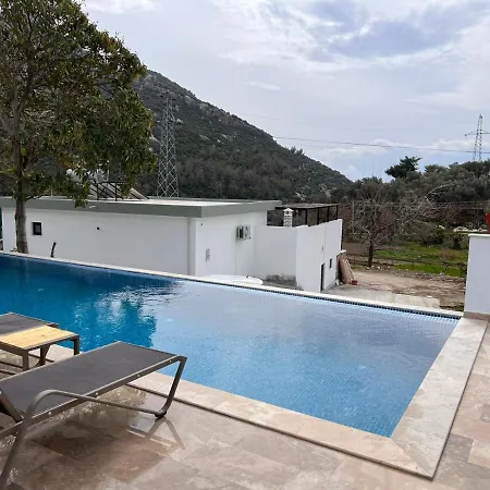 Gala Kaş